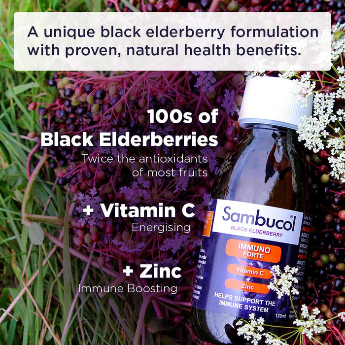 Sambucol Immune Elderberry Extract Liquid - 120ml - Immune Support at MySupplementShop by Sambucol