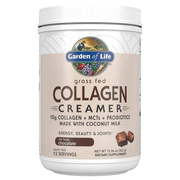 Garden of Life Grass Fed Collagen Creamer, Chocolate - 342g - Joint Support at MySupplementShop by Garden of Life